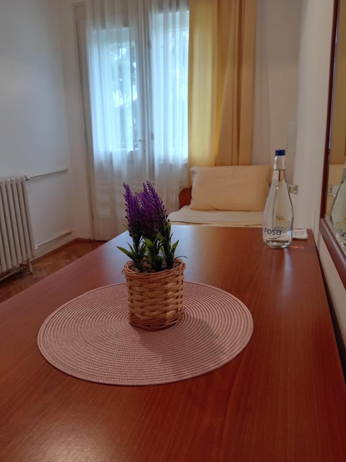 Hotel Vlasina - Vlasinsko Jezero Vlasina Rid Exteriér fotografie