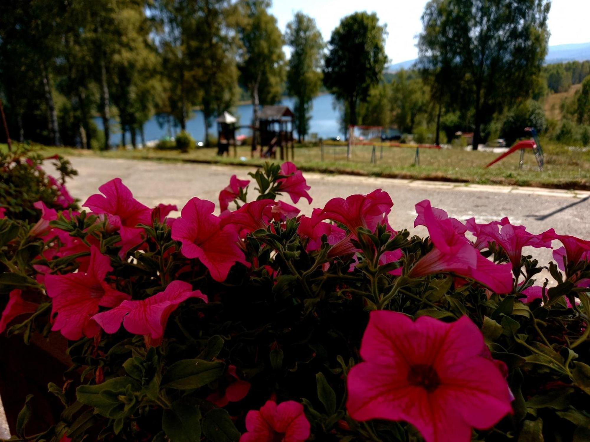 Hotel Vlasina - Vlasinsko Jezero Vlasina Rid Exteriér fotografie